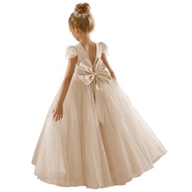 JISISANG Flower Girls Lace Tulle Champagne Princess Pageant Dress for Wedding Bridesmaid Formal Party Kids Cap Sleeve Sequin Tulle Baptism Communion Dress for Girls Champagne 08