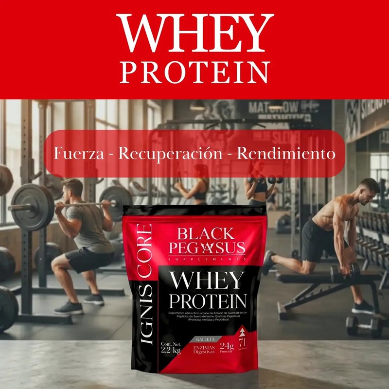 Birdman Creatina Monohidratada Proteína Whey Black Pegasus