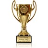 Zelaro Trophy in Gold with Desired Text – Trophy for Children – Handle Cup as a Gift for Men and Women with Emblems Three Sizes