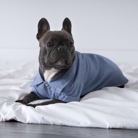 Fitwarm Linen Dog Shirt, Breathable Summer Clothes for Small Dogs Boy, Pet Collared Outfit, Light Blue, Large