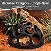 Snake Jungle Gym for Small to Medium Snakes, Medium Reptile
