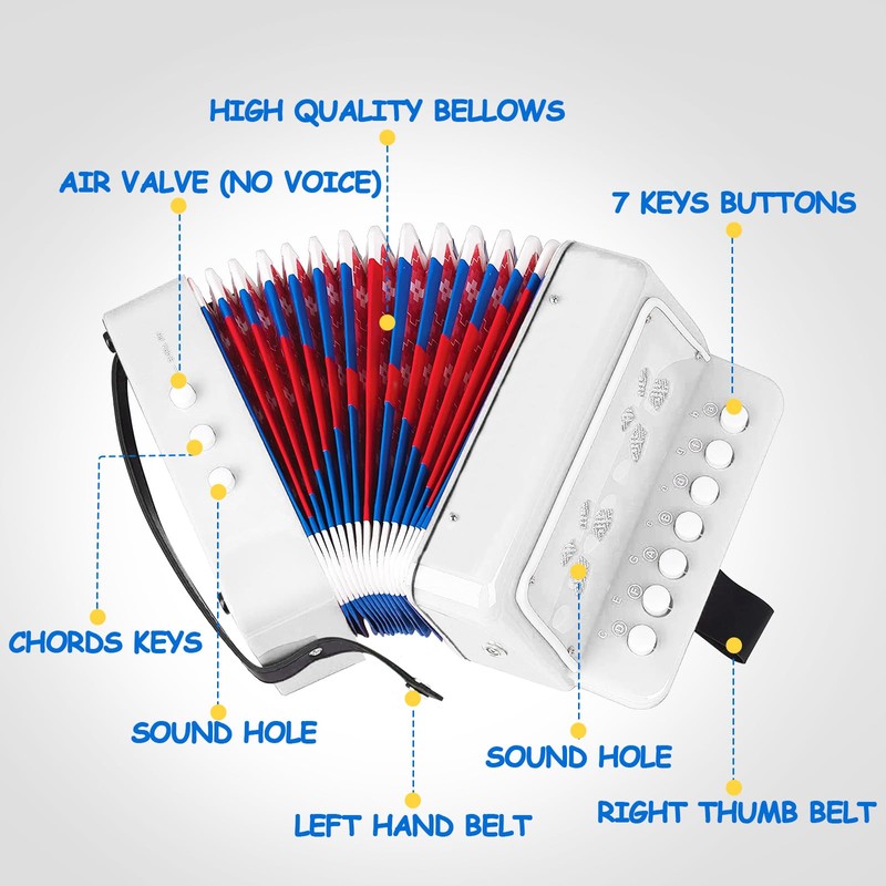 Kids Accordion,Toy Accordion for Kids Ages 3 5 9 7