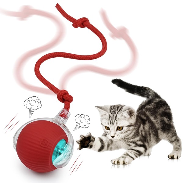 KIDSU Interactive Cat Toys Ball for Indoor, Self Rolling Balls,