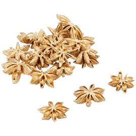Daichi Farm DO021020-902 Dried Flower Star Anise, Gold, Approx. Φ1.2 inches (3.0 cm), 1.3 oz (35 g)