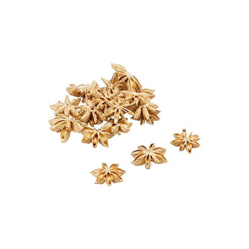 Daichi Farm DO021020-902 Dried Flower Star Anise, Gold, Approx. Φ1.2