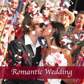 Eslibin 300 PCS Dried Real Red Rose Flower Petals Confetti for Wedding, 2.82oz Preserved Freeze Flower Girl Petals for Romantic Night Wedding Proposal Valentine's Day Centerpeice BabyShower Decor