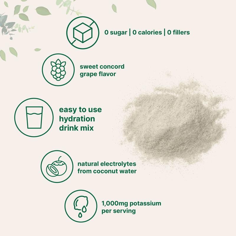 Micro Ingredients Hydration Electrolytes Powder, 1lb Supplement - Flavor: Grape