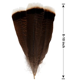 THARAHT 24pcs Natural Wild Turkey Tails Feathers Quill Bulk 8-10inch 20-25cm for DIY Crafts Project Collection Wedding Decoration Wild Turkey Tails Feather