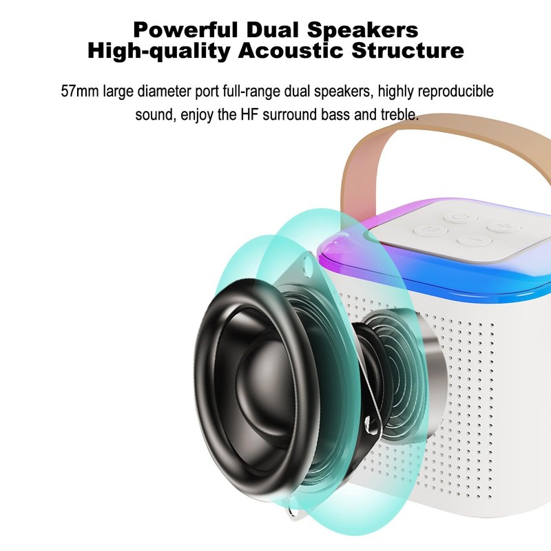 Karaoke Machine, Portable Bluetooth Speaker with Microphones for Adults and