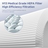 4 Packs H7126 Replacement Filter Compatible with GoveeLife H7126 Mini