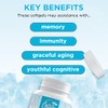 Fisetin with Quercetin 1200mg | Liposomal Encapsuled for Greater Bioavailability