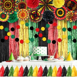 Blosssound 21 Pcs Juneteenth Decorations Black History Month Backdrop Black Red Green Yellow Hanging Paper Fans Pompoms Banner for African American Juneteenth BHM Classroom Office Decor