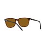 Arnette 0an4291 Cortex, Gafas Hombre, Habana, 57