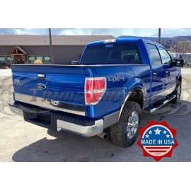 Trims Express 2009-2014 Ford F-150 Tailgate Molding Trim Accent Door Cover Rear 1Pc 6 1/4"