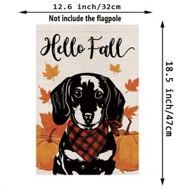Hello Fall Garden Flag Dachshund Dog Pumpkins Double Sided Vertical Seasonal Autumn Outdoor Yard Lawn Decorations 12.5 x 18 Inch