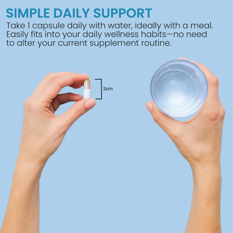 Zen Life Herb Salud Visual Con Panax Notoginseng 60 Cápsulas