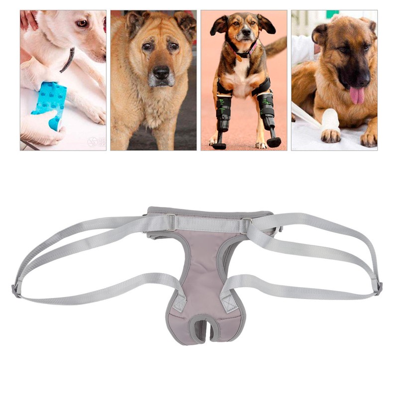 Dog Lift Harness Split Auxiliary Portable Buckle Design Adjustable Dog
