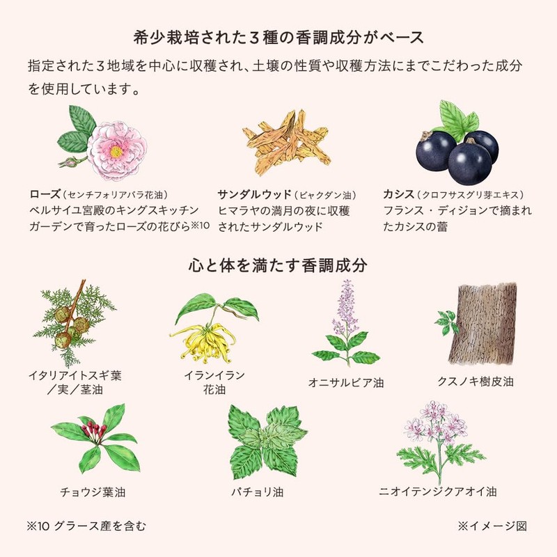 ETVOS Etovos Vital Superior Oil, 1.0 fl oz (30 ml)