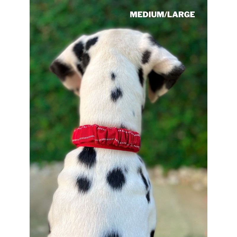 Tuff Pupper Heavy Duty Dog Collar with Handle | Ballistic