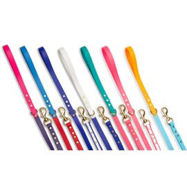 Dog Leashes for Small Dogs or Dog Leashes for Medium Dogs- Double handle leash , Reflective Dog Leash has Poop Bag Holder for Leash. Make Biothane Dog Collar and Leash Set with our Matching Dog Collar