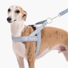 Maogoublue Escape-Proof Dog Harness with No-Choke Comfortable Lycra Fabric Vest