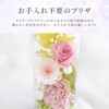 Marika Flower Preserved Flower Offering Flower Bottle (Purple)
