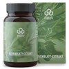 MSM Capsules with Olive Leaf Extract & Vitamin C 500 mg
