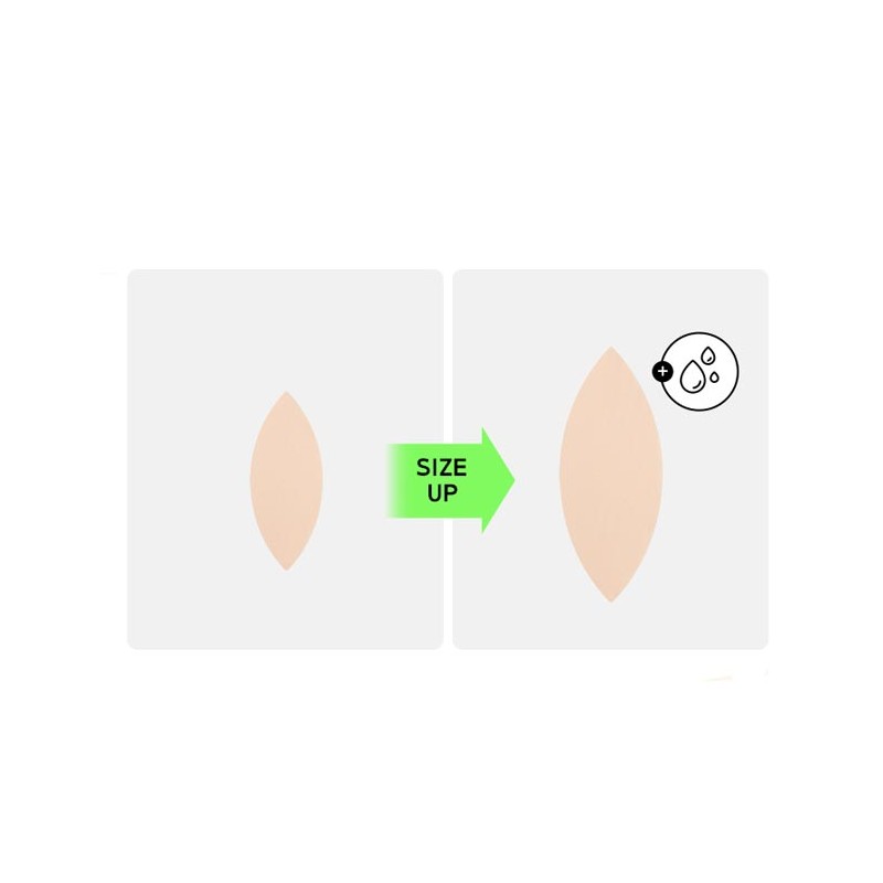 AMORE BASIC Hydro Make Up Sponge 2ea