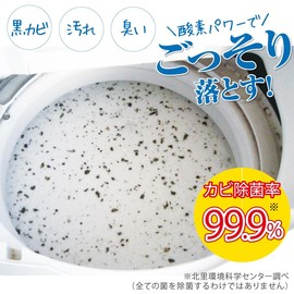 Washing tub cleaner 500g