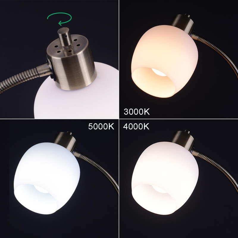 MAINDECO Gooseneck Floor Lamp,Height Adjustable,3 Color,Flexible Sofaside Reading Pole Lamp,Red