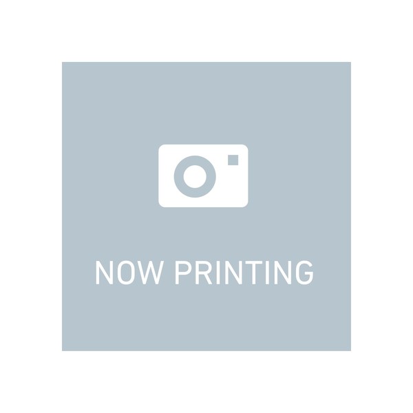 Kirara K60-13807 Picture Book Towel (Tyrannosaurus)