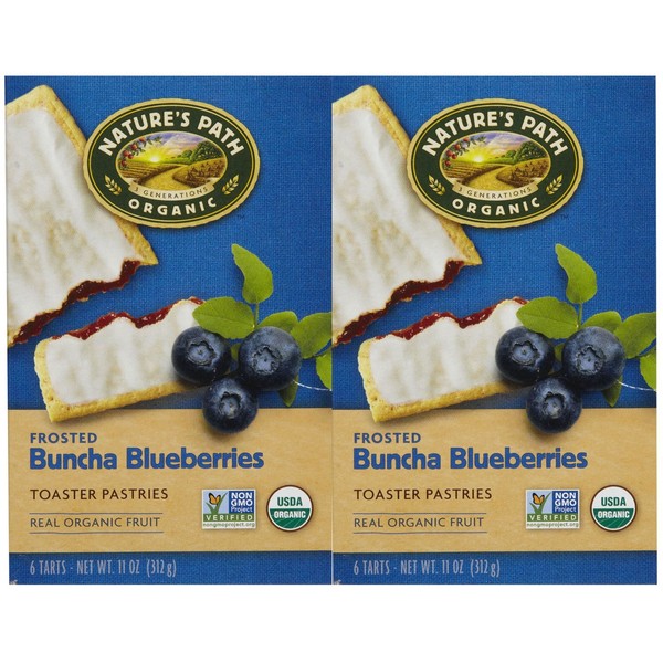 NATURE'S PATH Organic Frosted Blueberry Toaster Pastries - 11 OZ