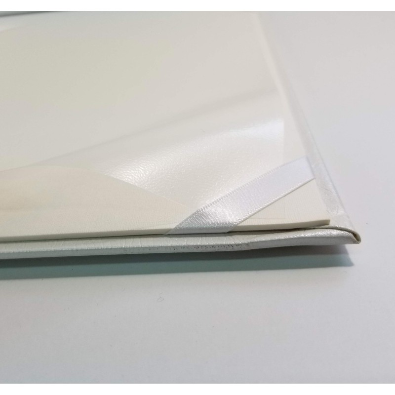 Mino Shokai B5 9602 Marriage Certificate File for 2 Sheets