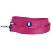 Blueberry Pet Essentials Durable Classic Dog Leash | Basic Nylon