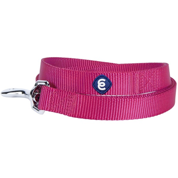 Blueberry Pet Essentials Durable Classic Dog Leash | Basic Nylon