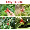 Plant Training Clips 90 Degrees Stem Trainer Clips, 40 Pieces
