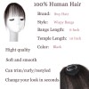 Swy Hair Bangs Hair Clip in Bangs 100% Real Human