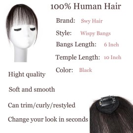 Swy Hair Bangs Hair Clip in Bangs 100% Real Human Hair Extensions Wispy Bangs French B