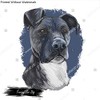 Poster Reproduction of Treeing cur dog isolated digital art illustration.