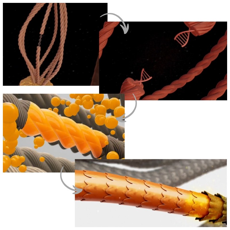 NARKA inner-fect Strength Treatment 230ml [Special Damage Care]