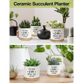 PWHINGN Feeling Cute Might Die Later Pot- Ceramic Engraved Succulent Aloe Cactus Planter Pot, Funny Indoor Plant Pots with Bamboo Tray for Mom Grandma Teacher Gifts(Plant Not Included)