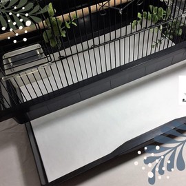 BirdCageLiners - POLY COATED- Medium Sizes -Custom Sizes- 60, 100 or 150 Pre Cut Sheets - Up To 300 Ft of Paper