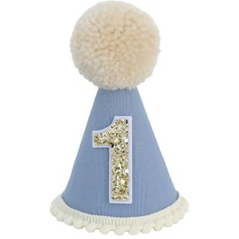 Ereniko Plush Wild One 1st Birthday Hat Boy The Big One Party Hat Blue First Birthday Party Hat for Baby