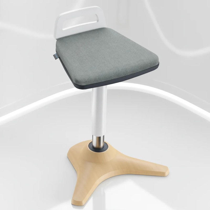 Ergonomic Height Adjustable Perch ELaning Stool Office Balance Active Seat