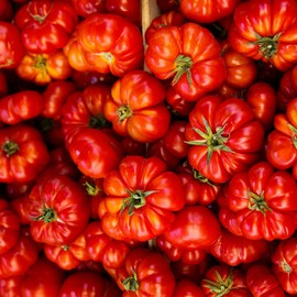 Park Seed Variety of Tomato Seeds, Planting Vegetables, Easy to Grow, Non-GMO, Perfect for Harvesting, Pink Delicious Tomato, Pack of 15