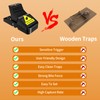 Mouse Traps Indoor for Home: Small Mice Trap for House