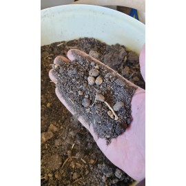 Natural Sheep Manure - Pastured - FIVE (5) Pounds - Great For Growing Gardens