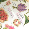 Kamio Japan Seal, Adult Encyclopedia Seal, Flower 221265