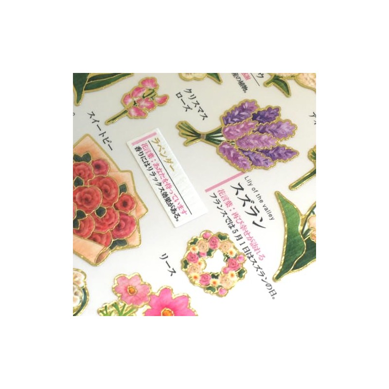 Kamio Japan Seal, Adult Encyclopedia Seal, Flower 221265