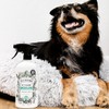 Pet-Pourri Pet Odor Air + Fabric Odor Eliminator Spray, Pawsitively